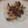 きらり流れ星's cooksnap of when they made きのこの焦がしバター炒め.