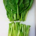 taako1552's cooksnap of when they made 葉野菜の簡単なゆで方.