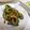 c15's cooksnap of when they made ゴーヤーのごま味噌和え.
