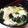 うまいぞー！'s cooksnap of when they made ツルっと美味しいワンタンスープ.