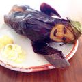 オオタみっぷー's cooksnap of when they made カオナスずかん.