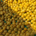 ｃｉｔｏｒｏｎ's cooksnap of when they made 簡単☆減塩梅干しの作り方.