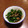 わこちゃん☻'s cooksnap of when they made ピーマンとしらす炒め.