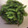 ﾌﾞﾚﾝﾀﾞ's cooksnap of when they made 塩味が染み込んだ枝豆の茹で方.