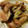 ほっちき's cooksnap of when they made 鶏肉と長ネギの焼き鳥（塩）風.