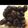 にーなんぐ's cooksnap of when they made つやつや黒豆.