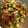 クック8MY7I7☆'s cooksnap of when they made 【簡単】梅とオクラのしっとりふりかけ.