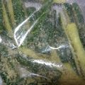 うちださつき's cooksnap of when they made キューリのパン粉漬け.