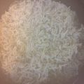 たけぞぞ's cooksnap of when they made 自家製ちりめん山椒.