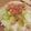 ぱんのみみ♪'s cooksnap of when they made セロリと山芋のわさび醤油かけ.