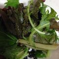 happykote's cooksnap of when they made ＊やみつき　ごま塩サラダ＊.