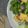 みぽco's cooksnap of when they made 小松菜の和風シーザーサラダ.