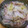 書セラピスト流香's cooksnap of when they made 簡単蒸し白菜.