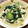 YUKIKI☆'s cooksnap of when they made ほうれん草と胡瓜の緑の白和え.