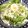 YUKIKI☆'s cooksnap of when they made 簡単サラダそうめんはワンポイントが大事♪.