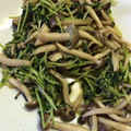早絵香's cooksnap of when they made 簡単 早い！ 豆苗と きのこの 炒め物♪.
