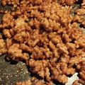 まままーがれっと's cooksnap of when they made 弁当にぴったりしっとり肉そぼろ.