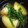 ♪まるえ's cooksnap of when they made たこまんま★蛸の卵・海藤花と里芋の煮付け.