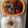 みほきのこ's cooksnap of when they made 野菜たっぷり！味噌餃子.