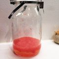 クロネコ's cooksnap of when they made グレープフルーツ＆生姜のサワードリンク.