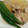 ちゃたろう♪'s cooksnap of when they made 鶏もも肉と冬瓜の煮物.