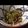 いくら0728's cooksnap of when they made ゴーヤの梅おかかサラダ.