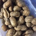 あんじまる's cooksnap of when they made 茹で落花生.