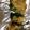 coto♪♪♪'s cooksnap of when they made ピーマンのツナチーズ焼き.