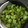 もい鳥's cooksnap of when they made ししとうで簡単一品.