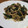 みゆパンダ's cooksnap of when they made 野菜も一緒に★豚しょうが焼き.