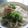 ジョングレ's cooksnap of when they made オクラ・とろろ・納豆の月見ぶっかけうどん.