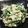 tshrママ's cooksnap of when they made ほうれん草の豆腐和え.