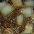 あさくーまん's cooksnap of when they made 簡単☆冬瓜の煮物.