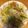 クックEDBK1A☆'s cooksnap of when they made キムタク風☆ピリ辛キャベツ.