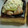 桜白波's cooksnap of when they made 秋鮭としめじのパイ☆タルタルソースで★.