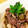 クックY6NMTE☆'s cooksnap of when they made 万願寺とうがらしと牛肉の炒め煮.