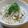 daikanon's cooksnap of when they made 醤油麹でごまたっぷり大根サラダ.