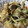 nao720107's cooksnap of when they made 鶏肉ともやしのオイスター炒め.