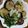 アヤコ☻'s cooksnap of when they made 茄子のあっさりぶっかけ。.