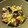 tomomani's cooksnap of when they made レンジで☆さつまいもとかぼちゃの秋サラダ.