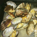 Saaa07's cooksnap of when they made 今が旬★アサリの酒蒸し.
