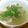 chou*'s cooksnap of when they made 夫婦円満　美味なテールスープ.