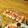 よう子★！'s cooksnap of when they made 生ハムと豆腐で簡単前菜☆.