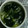 ma___111's cooksnap of when they made ★簡単中華風ねぎｽｰﾌﾟ★.