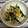 ☆みーい☆'s cooksnap of when they made いんげんと卵の胡麻和え.