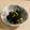 さだはる２８号's cooksnap of when they made えのきと小松菜のおひたし.