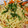 ナギヤ1114's cooksnap of when they made 超簡単♡白だしで本格和風パスタ.
