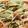 76maki's cooksnap of when they made タイ風！もやしともも肉のトマト炒め.