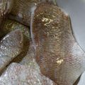 Träumerei's cooksnap of when they made 小鯛のささ漬け.