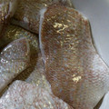 Träumerei's cooksnap of when they made 小鯛のささ漬け.
